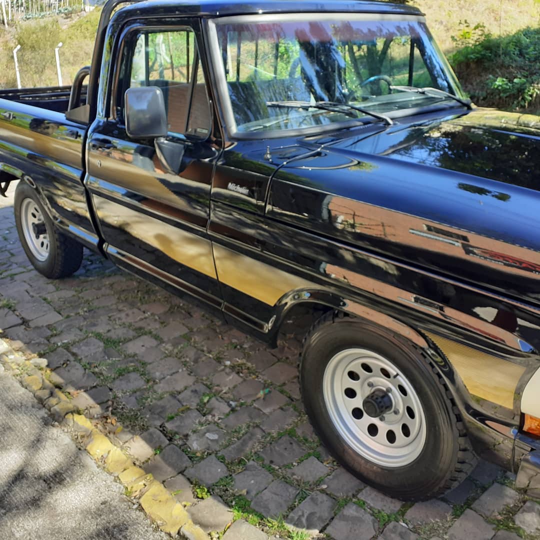 Ford F1000 - Guglielmin Estética Automotiva